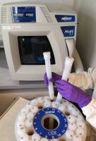 prepa_microonde