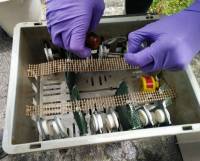 Recuperation-déchantillonneurs-passifs-de-type-Tige-silicone